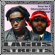 browse Lagos Streets