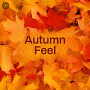 Autumn Feel