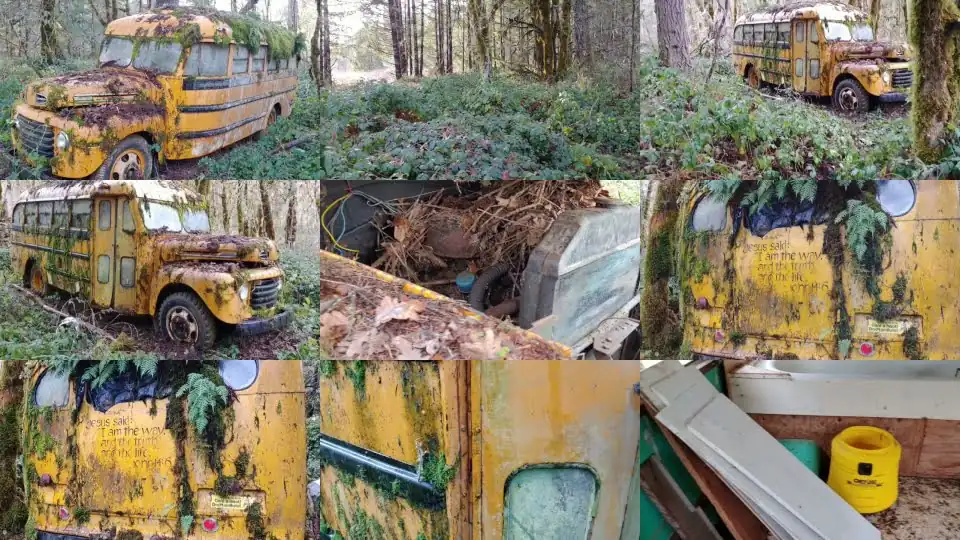Let's Drive This Abandoned Rat Infested Vintage School Bus Out of The Forest! Will It Run and Drive?