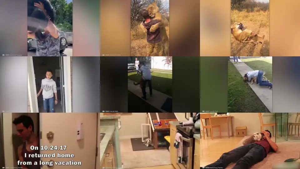 Animals Reunited With Owners After Years !