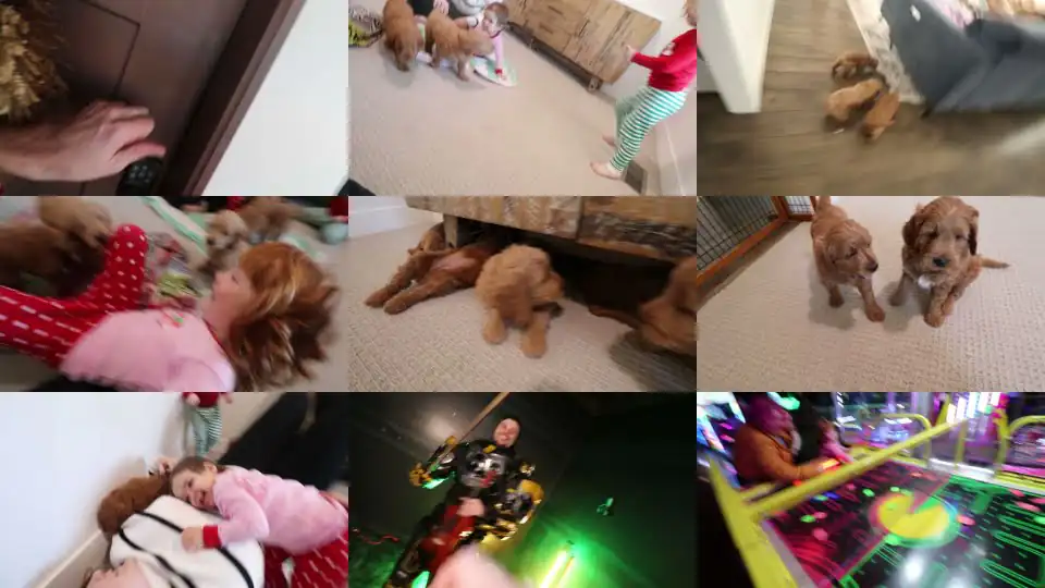 9 PUPPY SURPRiSE for Adley & Niko!! Hiding pet puppies inside our house! Spacestation Arcade Party!