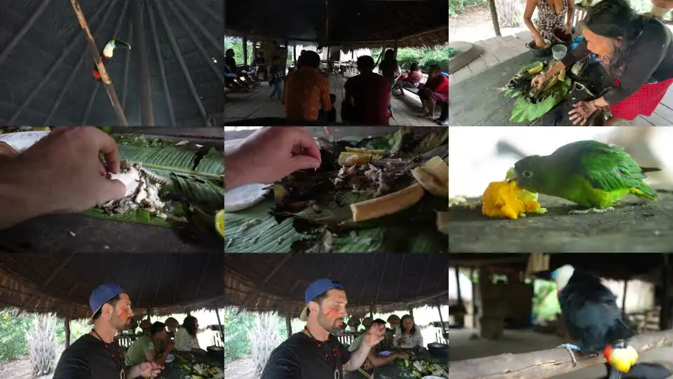 Day in the Life of an Amazon Jungle Tribe!