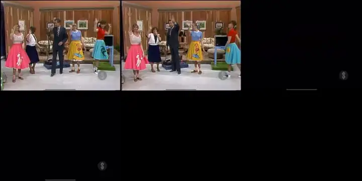 Dian Parkinson (Braless?) Bouncing & Bobbling in a 1950's Themed Showcase (1983)