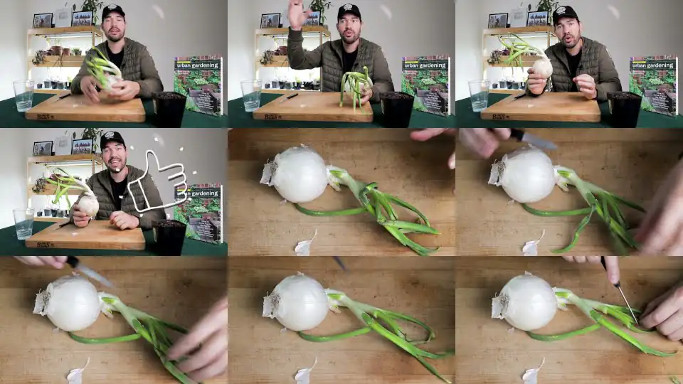 Weird Way to Regrow Onions For Better Results!