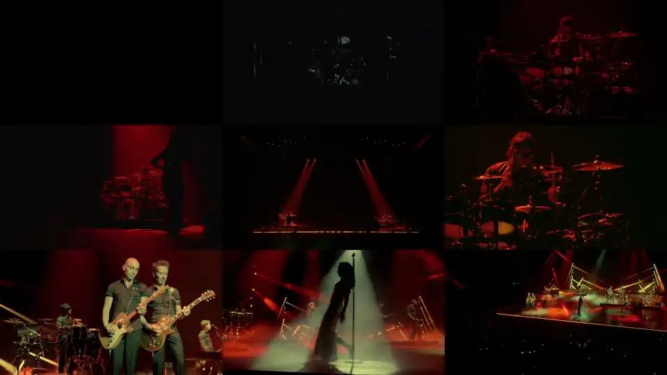 Sade - The Sweetest Taboo (Live 2011)