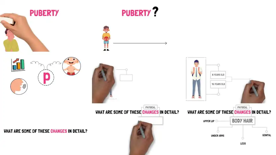 What are the stages of Puberty? Boy Puberty