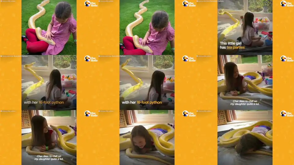 Little Girl Has Tea Parties With Her 16-Foot Python | The Dodo