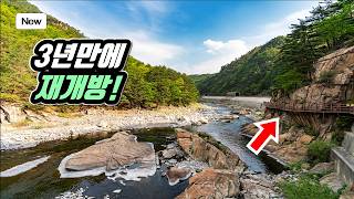 The Most Wonderful remote area Trail Course in Korea