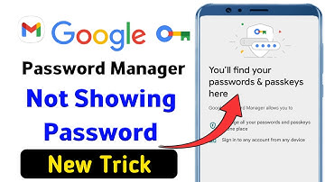 Password Manager Saved Password Nahi Dikha Raha||password manager not showing saved passwords