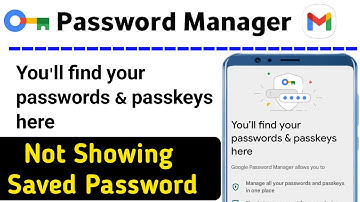 password manager me password nahi aa raha hai||password manager not showing password