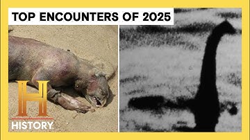 TOP SUPERNATURAL PHENOMENA OF 2025 | The Proof Is Out There