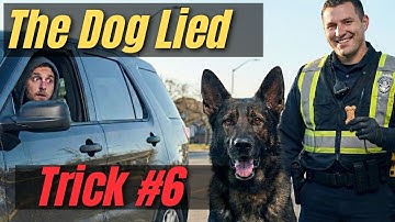 7 MORE Tricks Cops Don