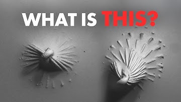 This Microscope Uses Touch TOO