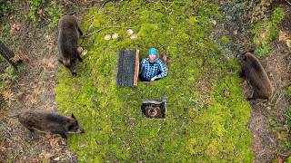 Building COZY SHELTER only from Forest Materials, Hiding from wild Boars