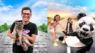 WE SAVED OUR FAVORITE CAT FROM THE EVIL PANDA!!