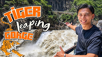 Tiger Leaping Gorge on Easy Mode + Shuhe Ancient Town (Lijiang) | CHINA