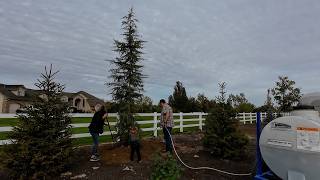 New Warehouse Tour & Planting 2 Cedars! 🤩🌲🤩 // Garden Answer