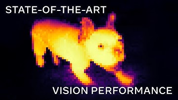 Introducing DINOv3: Self-supervised learning for vision at unprecedented scale