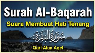 Surah Al Baqarah Dengan Suara Indah Membuat Hati Tenang - QARI ALAA AQEL