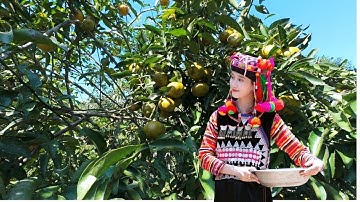 Bản Người Hà Nhì Cách Trung Quốc 20km || NẬM KHUM