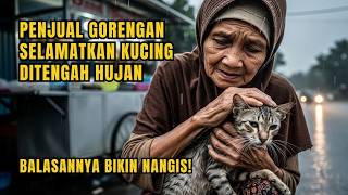 Cats Always Bring Strange Animals to Grandma's Shop... Turns Out There's a Reason!