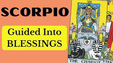 Scorpio Spirit Reveals Your Blueprint – Dreams Start Unfolding! 🧡 Nov 24th – Dec 1st Weekly Tarot