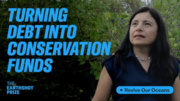 Financial innovation for ocean conservation