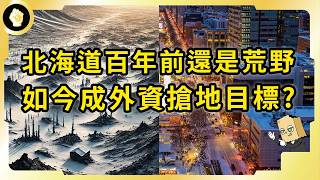 從荒野變身國際旅遊勝地！北海道怎辦到的？近年傳中資搶地，又有幾分真實？