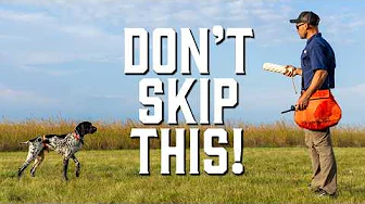 The Secret to Steady Points – Step 5 for “Whoa” Training!