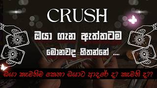 හිතේ ඉන්න Crush ඔයා ගැන ඇත්තටම මොනවද හිතන්නේ 💖💖💖 ඔයාට ඇත්තටම  කැමති ද💕ආදරේ ද 🪄 tarot reading sinhala