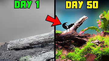 Simulating Natural Selection... It Got Violent Fast