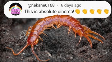 Simulating Natural Selection... It Got Violent Fast