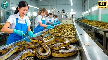 30 Minutes Satisfying Video Working & Exciting Factory Machines, Ingenious Tool, Admirable Worker▶02