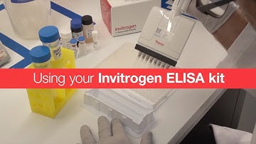 How to Run an ELISA Assay – Invitrogen Kit Step-by-Step Tutorial