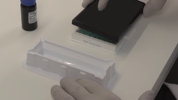 How to Run an ELISA Assay – Invitrogen Kit Step-by-Step Tutorial