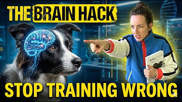 The Brain Hack That Builds Confident, Resilient Dogs (Not Calm Ones)
