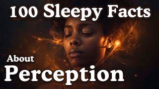 The Most Relaxing Facts About Perception to Fall Asleep To