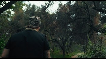 Talinwya - TRAUMATIZED (Official Music Video)