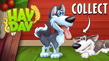 Huskies and Malamutes in Hay Day?!