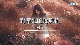 田园 - 野草怎配玫瑰花「我拼尽全力也没能给你想要的家」【🎧AI高质音乐/拼音动态歌词 Lyrics】CoolSong酷歌