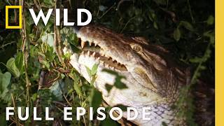 Man-Eating Crocodiles (Full Episode) | Dangerous Encounters