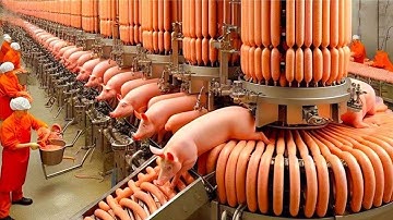 30 Minutes Of Amazing Continuous Production Machinery & Most Admirable Worker Ever Before ▶24