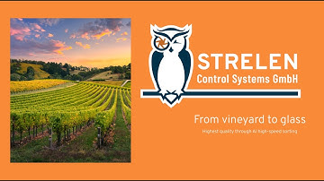 From Vineyard to Glass: Highest quality through AI high-speed sorting
