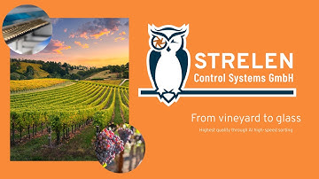 From Vineyard to Glass: Highest quality through AI high-speed sorting
