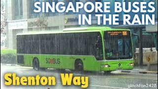 Buses in Heavy Rain at Shenton Way, Singapore 2023