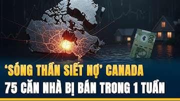 Sóng Thần Siết Nợ Canada: 75 Căn Nhà Bị Ngân Hàng Bán Tháo Trong 1 Tuần (Phân Tích 2025)