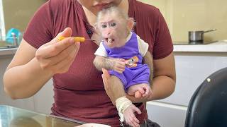Lala's leg hurts and she gets special care from Thuy!