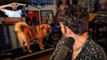 YOUTUBE IS WILD FOR THIS..