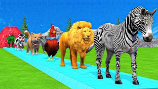 Paint & Animals Cow,Gorilla,Elephant,Lion,Tiger,Dinosaur, Fountain Crossing Transformation Cartoon