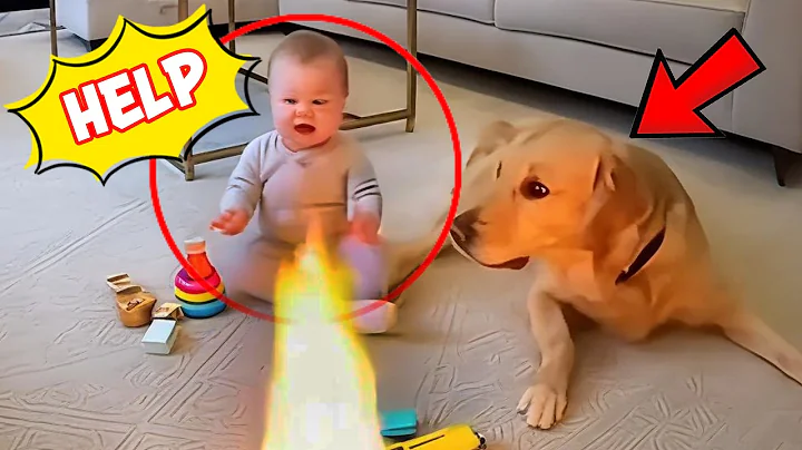 BEST of Hero Animals That Saved Human Lives 2025, You Must See!🐕